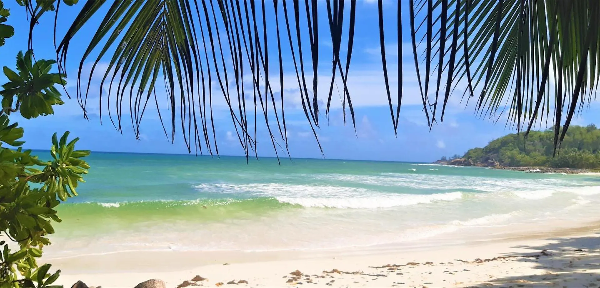 The Islander Hotel Grand Anse