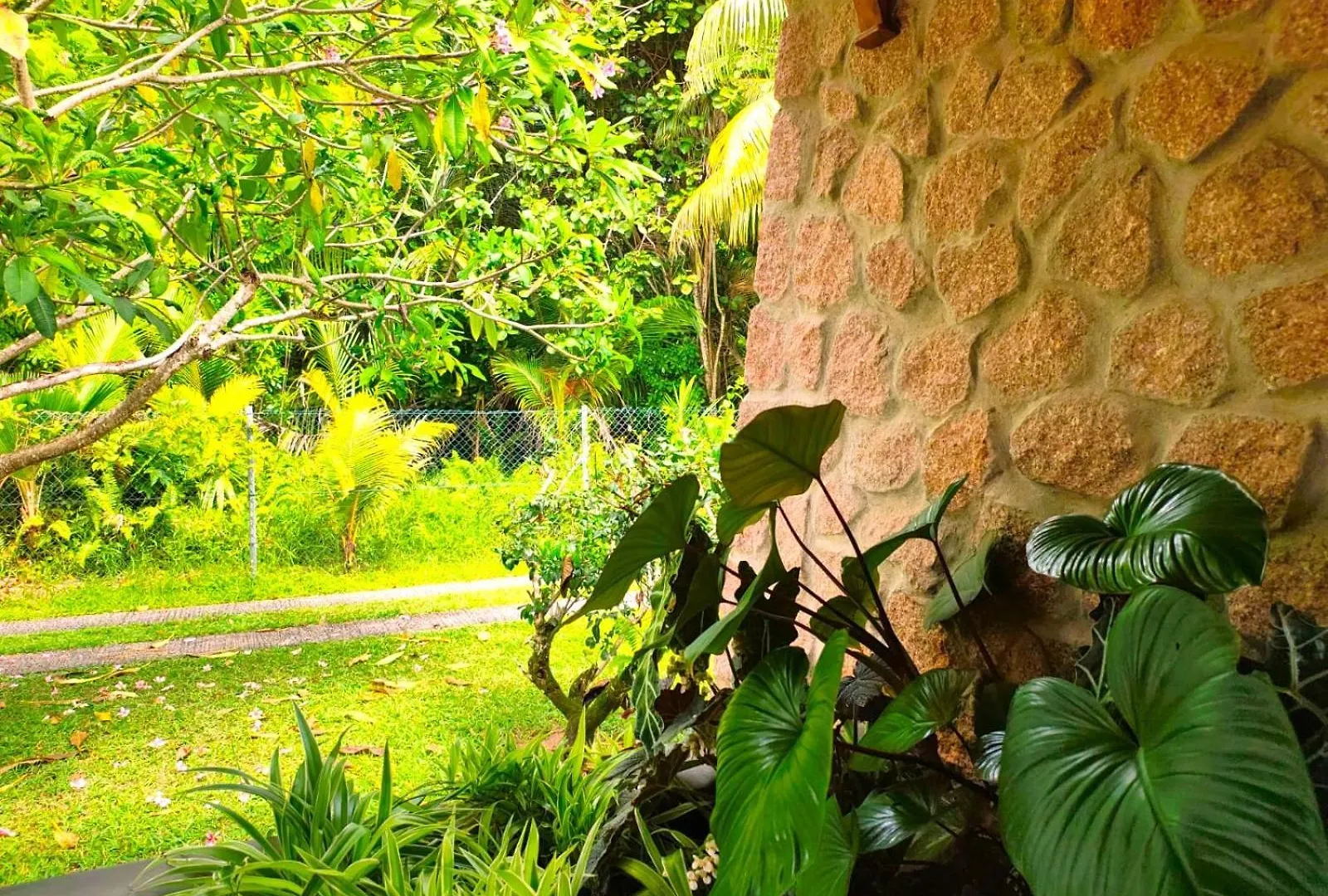 The Islander Hotel Grand Anse